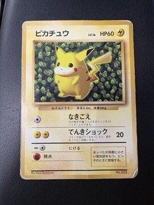 Ivy Pikachu | eBay