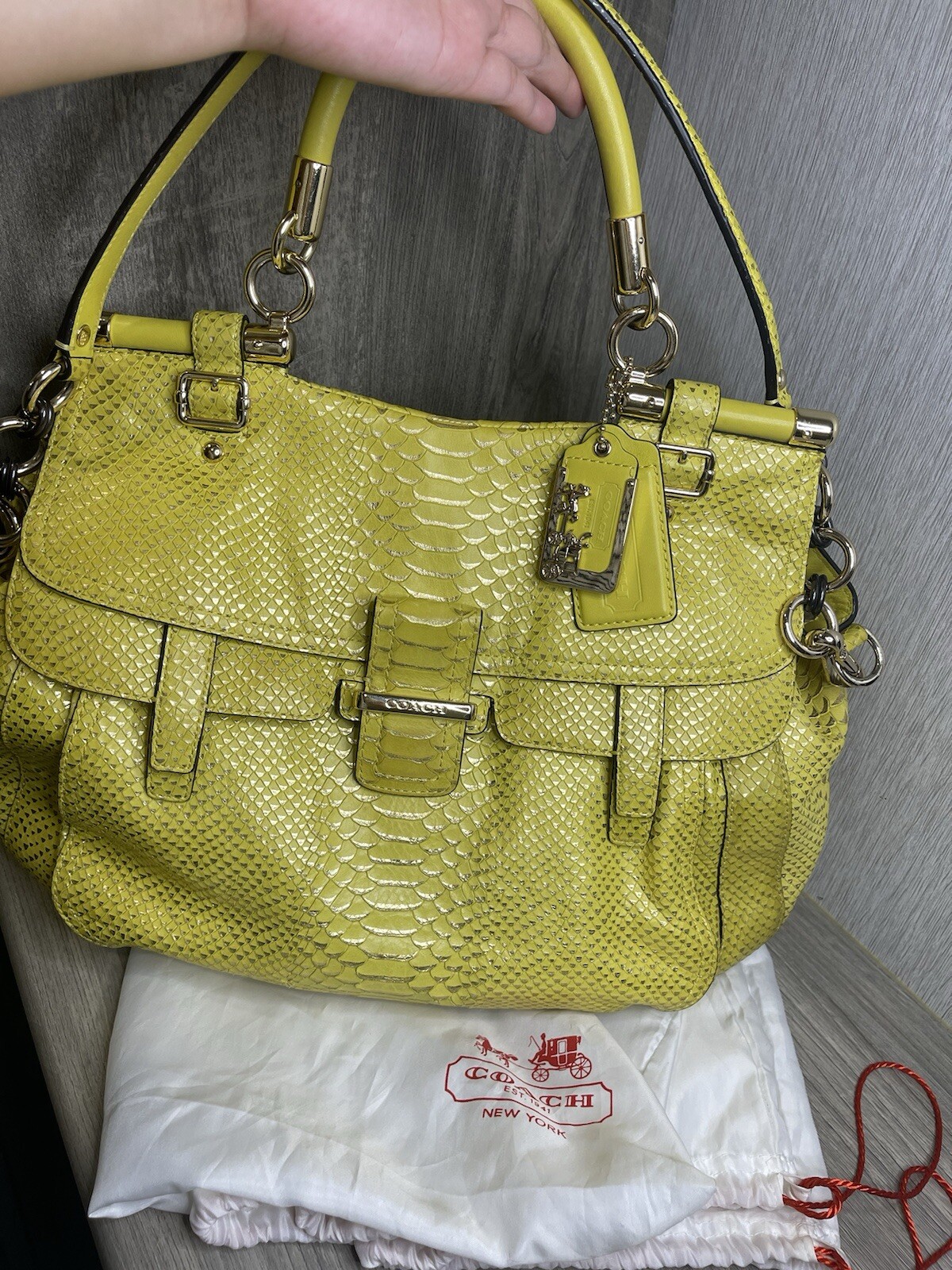 Coach ~ Abby Pinnacle Python Leather Crossbody Sa… - image 4