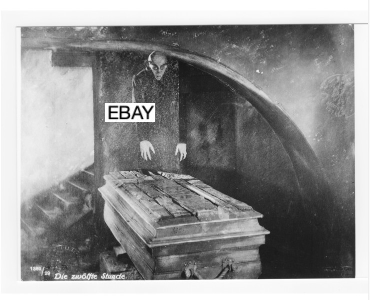NOSFERATU 1922 SILENT HORROR MOVIE PHOTO #4 8X10 F.W. MURNAU DRACULA MAX SCHRECK