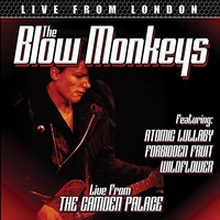 Blow Monkeys - Live From London - Cd - G3Z