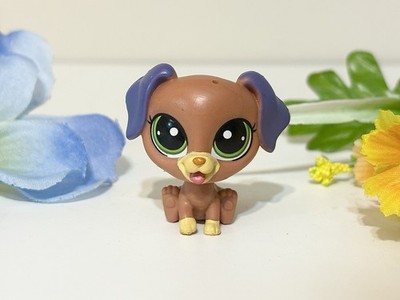 Authentic Littlest Pet Shop In The City 30 Pup Tacaro Labrador Retriever LPS Dog