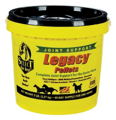 Select 12569836 Horse Livestock Mineral