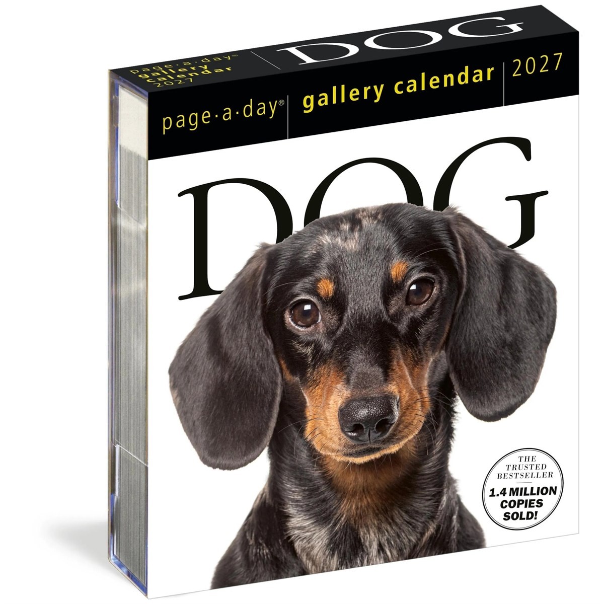 Dog Gallery Desk Calendar 2027, Desk Calendars, Day To View, Dogs, Gift - Image 2