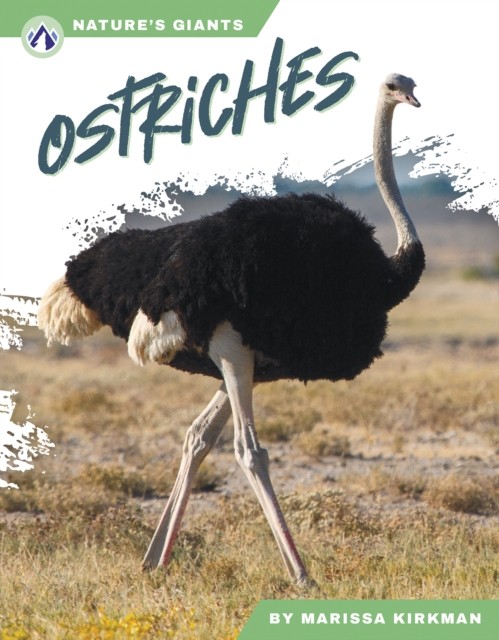 Ostriches by Marissa Kirkman (Hardback Book)