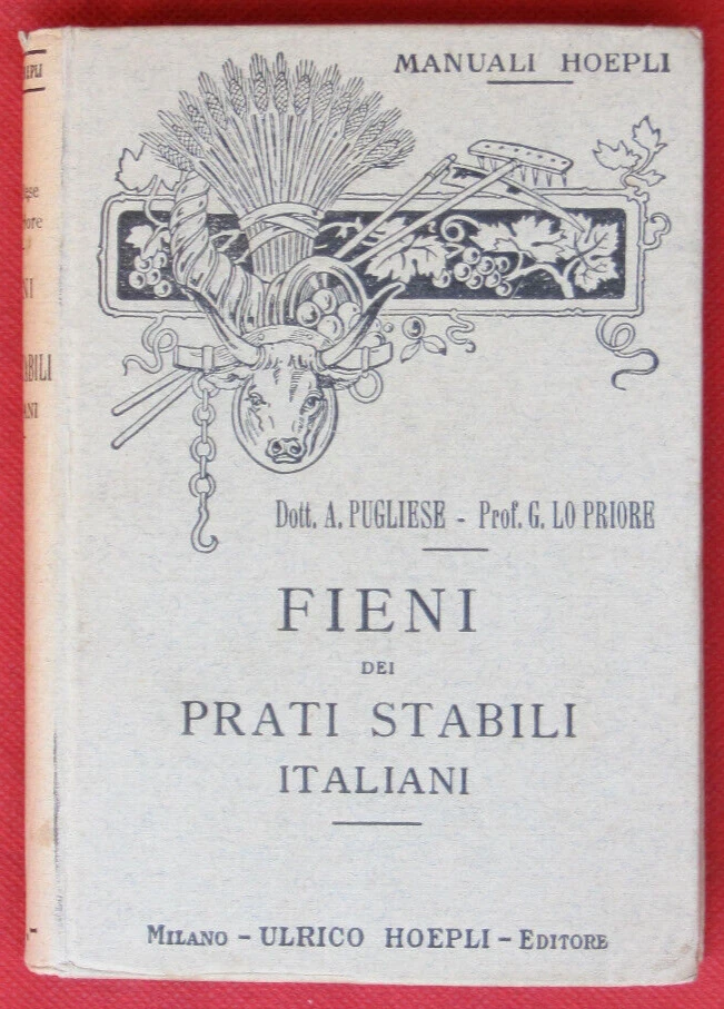 Foto 1 di 7