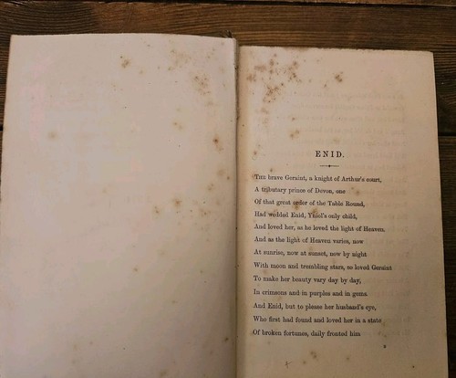 Idylls Of The King Alfred Tenyson 1859 1st (First) edition - Picture 14 of 24