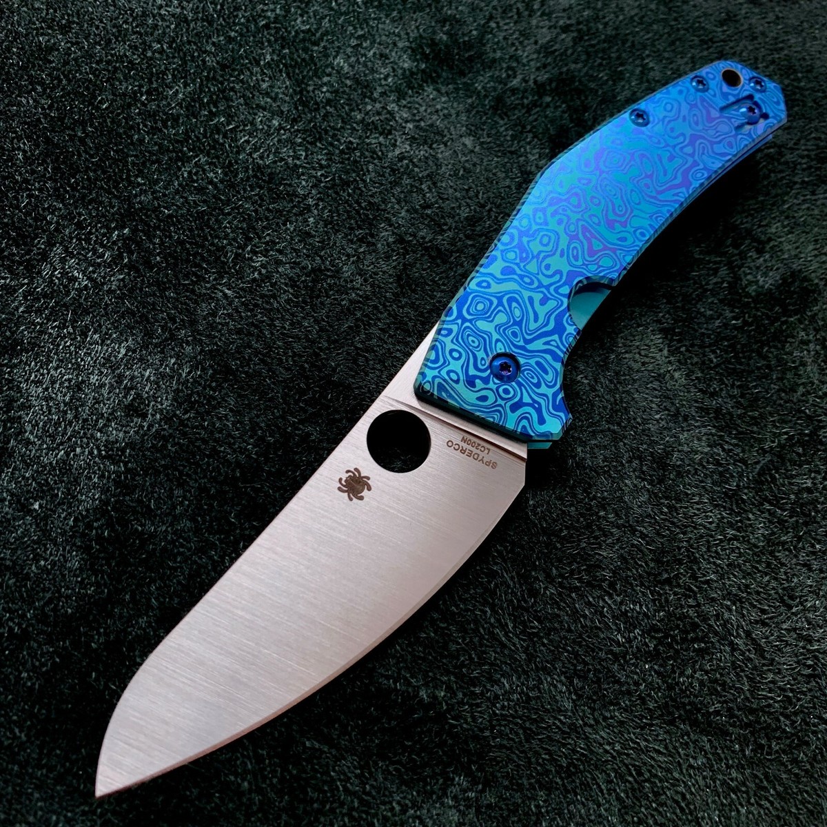 ELENDEEK SPANGLE SHEER BL フリー ELENDEEK SPANGLE SHEER BL フリー ELENDEEK SPANGLE SHEER BL フリー