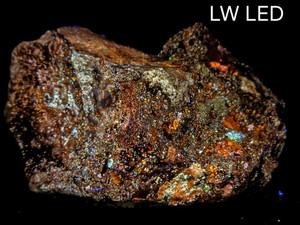 Multicolor Fluorescent  Sphalerite Horn Silver Mine, Utah 98 Gram