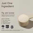 Collagen Peptides for Women & Men Hydrolyzed Type 1 & 3 Collagen Powder Protein