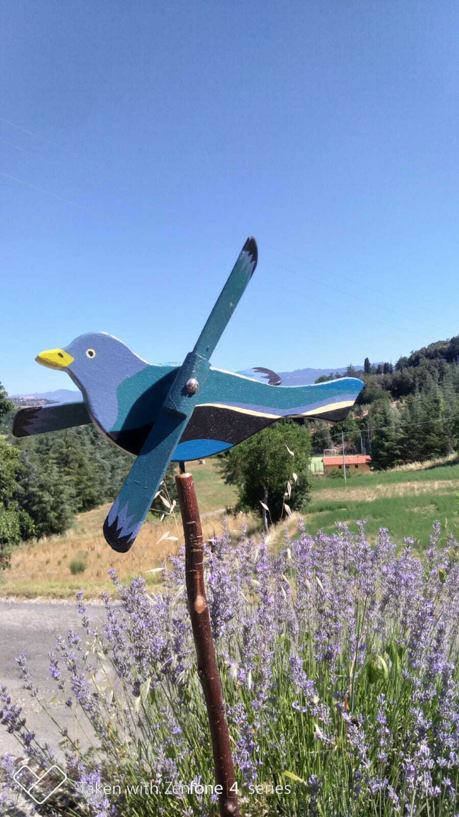 Segnavento Colombo Blu Animato | Must-Have Outdoor Made in Italy