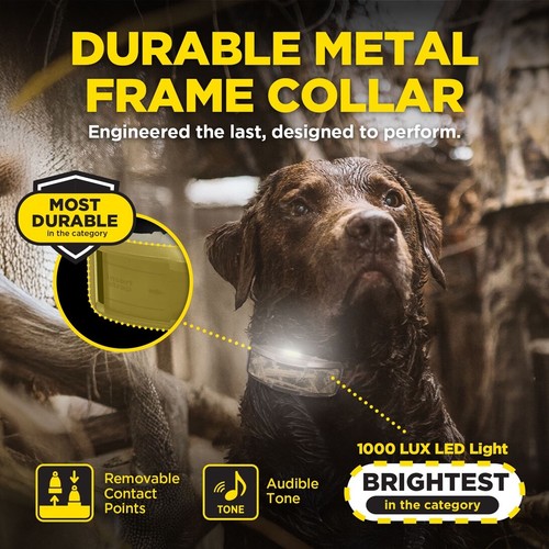 Dogtra 1900X Camouflage Remote Trainer 2-Dog Collar 3/4 mi, XPP Vibration & Tone - Picture 15 of 23
