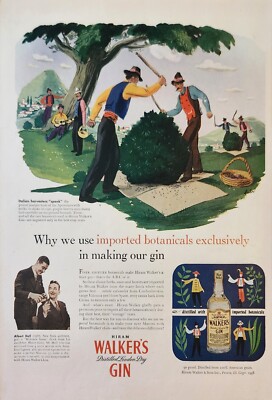 1946 Hiram Walker Distilled London Dry Gin Vintage Ad Imported Botanicals