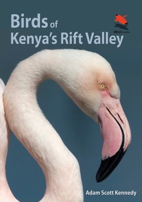 Birds of Kenyas Rift Valley by Adam Scott Kennedy PAPERBACK 9780691159072