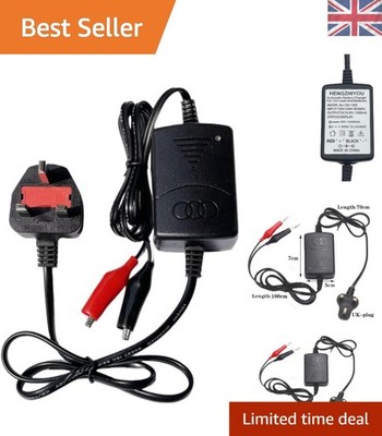 12 V versiegeltes Blei-Säure-Ladegerät mit 180 Tagen Qualitätssicherung & Sicherheitsdesign
