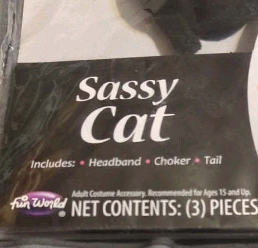 Disfraz de Halloween gato negro para mujer adulta - gato atrevido - diadema, gargantilla y cola Foto 2 de 3