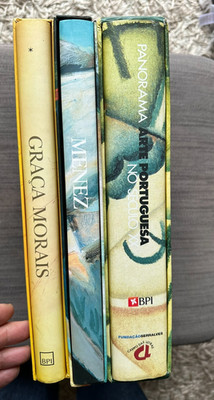 3 Very Large HB Cased Art Books BPI Graca Morais Menez Panorama Art Portuguesa