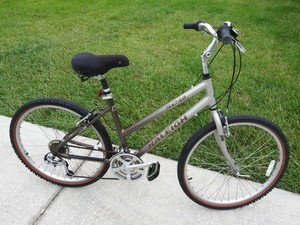 raleigh cycle hybrid