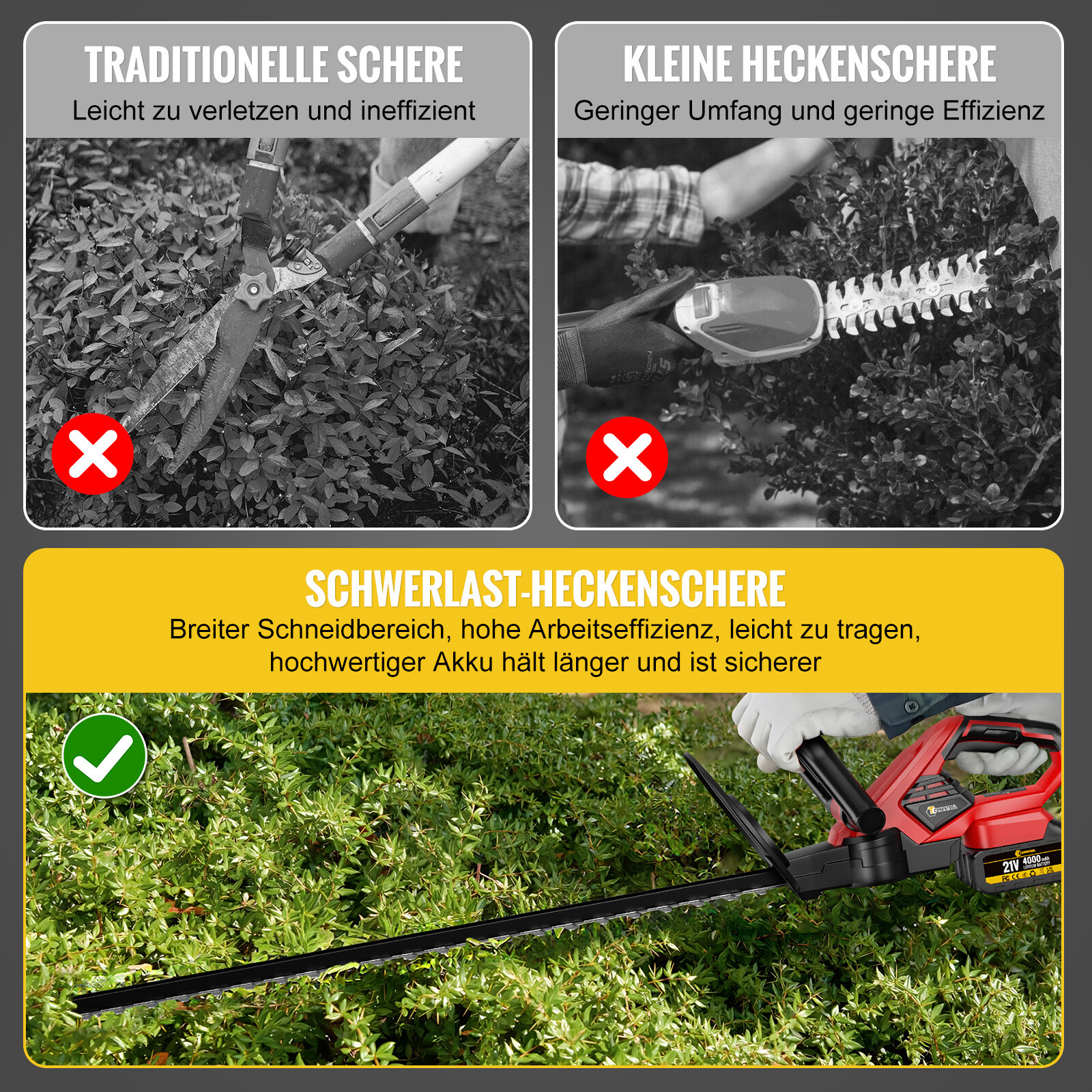 Bild 11 von 13