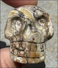 ~Mesmerizing~ Crazy Lace Agate CRYSTAL SKULL - Stamina, Divination