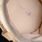Foto 5 di 5