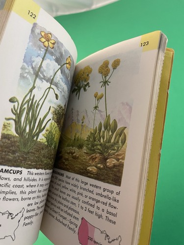Flowers Golden Nature Guide 1964 Paperback Zim Familiar American Wildflowers PB - Picture 9 of 9