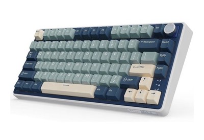 RK ROYAL KLUDGE R75 75% Wireless Mechanical Keyboard RGB Knob Hot Swappable BLUE