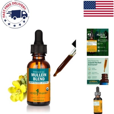 Fast-Absorbing Mullein Flower & Leaf Tincture - Organic Respiratory Support, 1oz