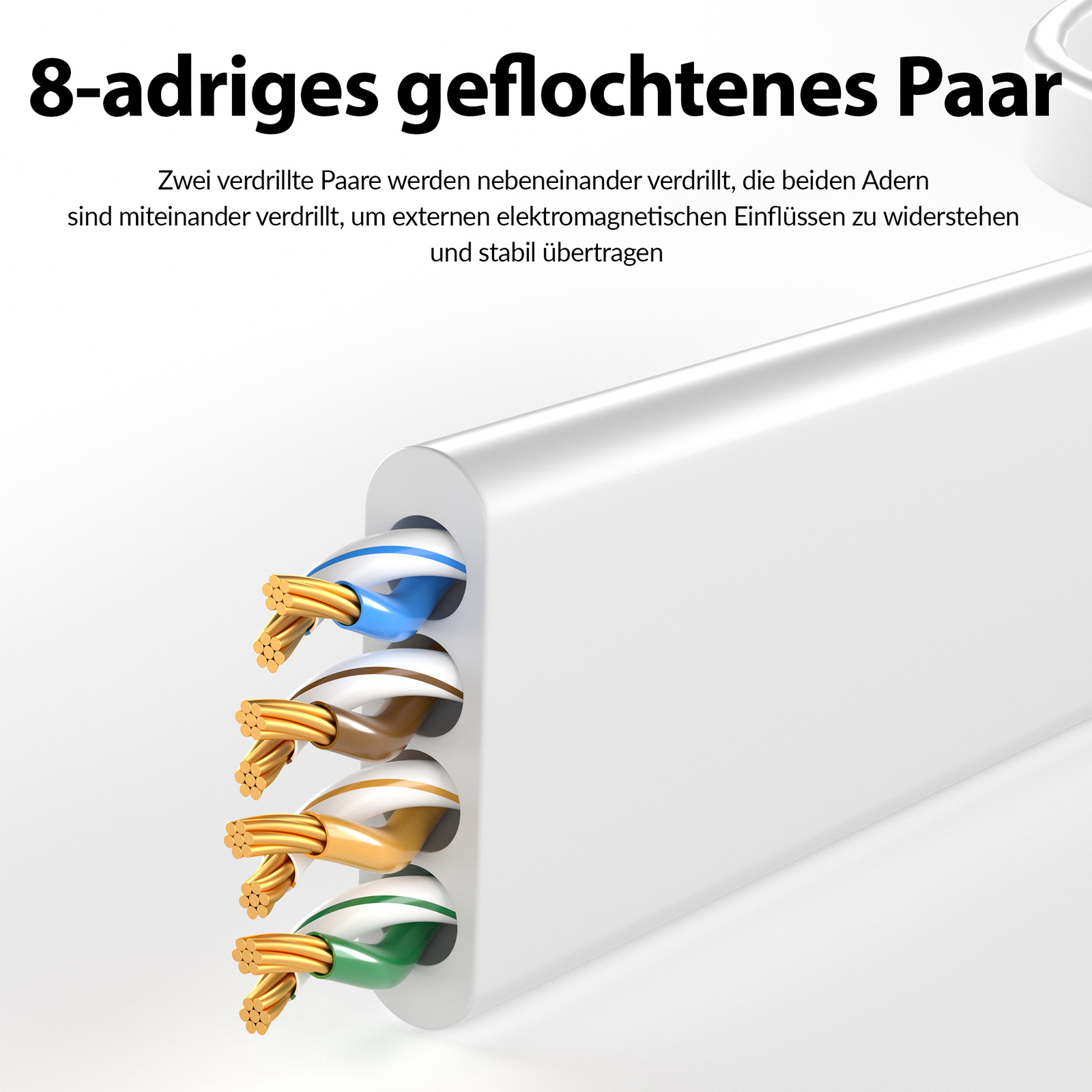 Afbeelding 7 van 12