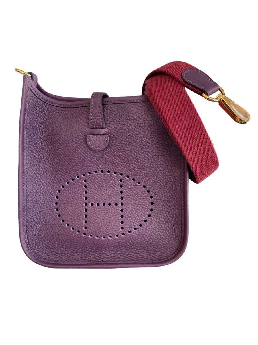 Hermes Evelyne Tpm Price 2024 Usa