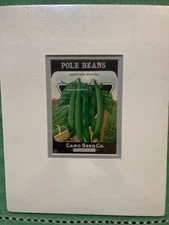 Antique Early 1900's Unused POLE BEANS Seed Packet,Matted,Chromo-lithography 