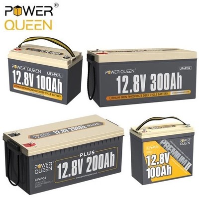 12V 100Ah 200Ah 300Ah Group 24 LiFePO4 Lithium Battery for Solar RV Off-grid LOT