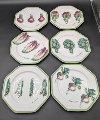 Set Of 6 Williams Sonoma Vegetable Garden 8'' Salad Lunch Plates Excellent