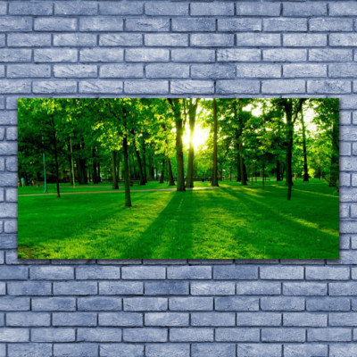 Acrylglasbilder Wandbilder Druck 140x70 Wald Natur
