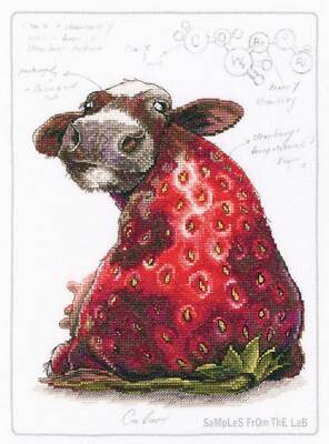 Kit Point De Croix EVA ROSENSTAND - Modèle "Donkey" (Âne) - Tissu 25-26 Ct - 30x40cm - Neuf
