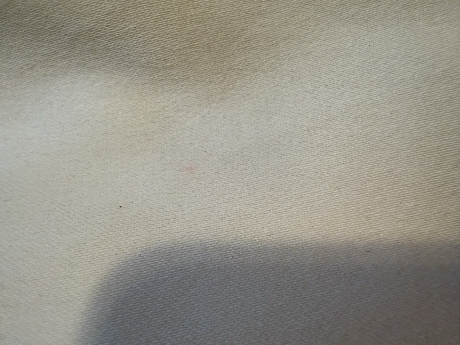 Bild 8 von 11