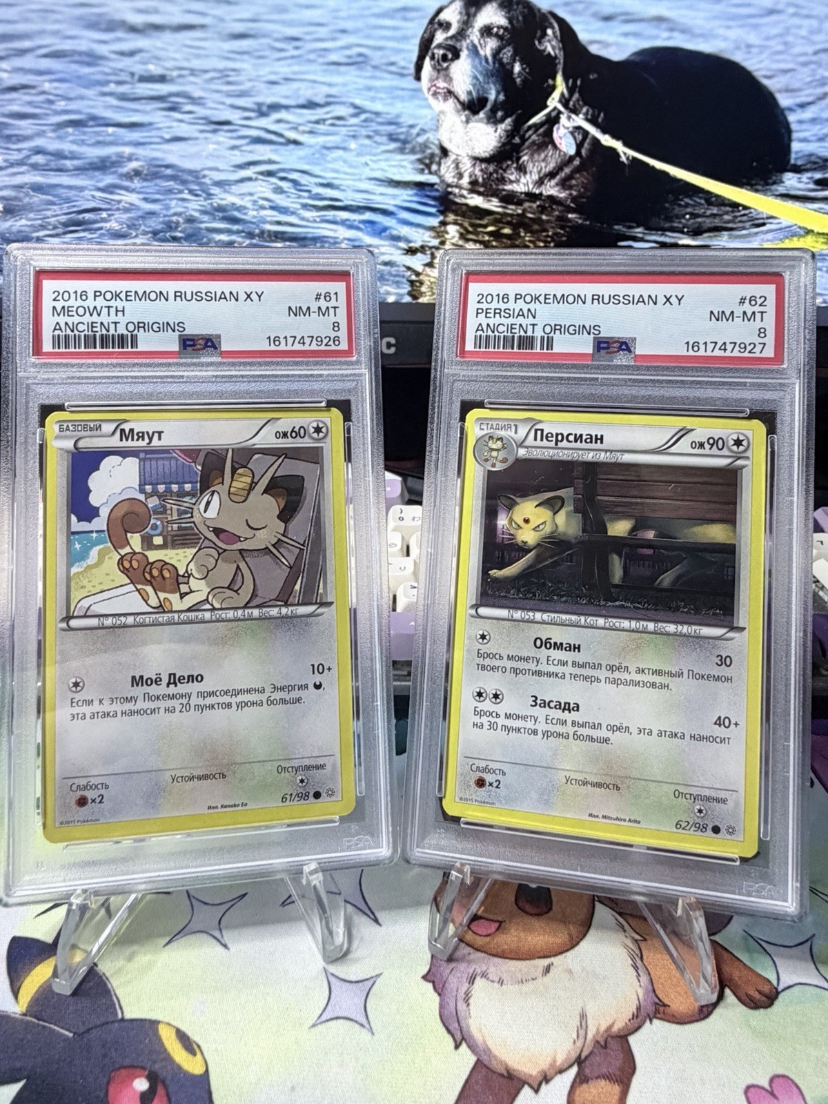 2016 Pokemon Russian XY Ancient Origins Meowth Persian PSA 8 Bonded Pair #61 #62