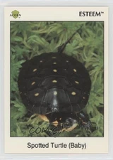 1991 Acorn Biosphere Esteem Spotted Turtle (Baby) #E-3 0y59