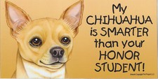My CHIHUAHUA tan is Smarter than your HONOR STUDENT car magnet 4x8 dog