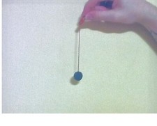 MAGNETIC SEXER FOR HATCHING EGGS DAY OLDS QUAIL  DUCKS  ALL POULTRY PIGEONS 