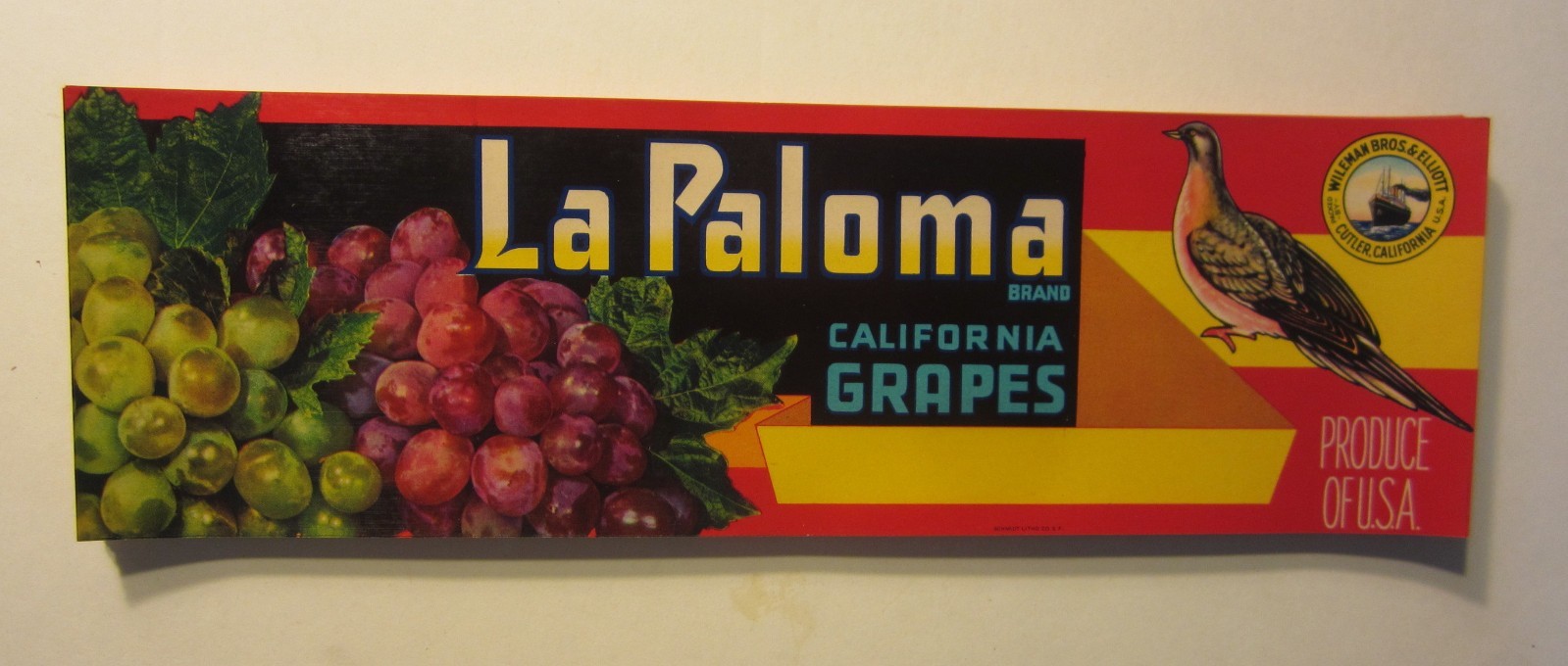 Wholesale Lot of 100 Old Vintage 1940's - LA PALOMA - GRAPE LABELS - Cutler CA.