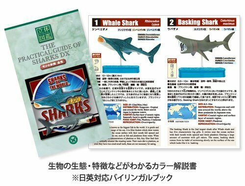 COLORATA real figure box Shark Deluxe (fellow of the shark) | eBay