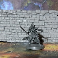 Human Half Elf Ranger Barbarian Fighter Rogue Miniature Dungeons  Dragons DND