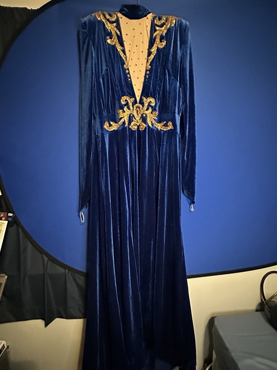 Stunning Evening Gown (Size 22)