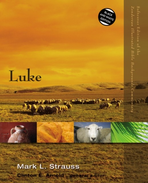 Luke (Zondervan Illustrated Bible Backgrounds Commentary) - Image 4