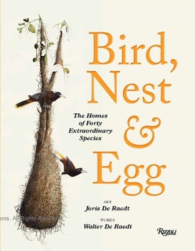 Bird Nest & Egg - Image 5