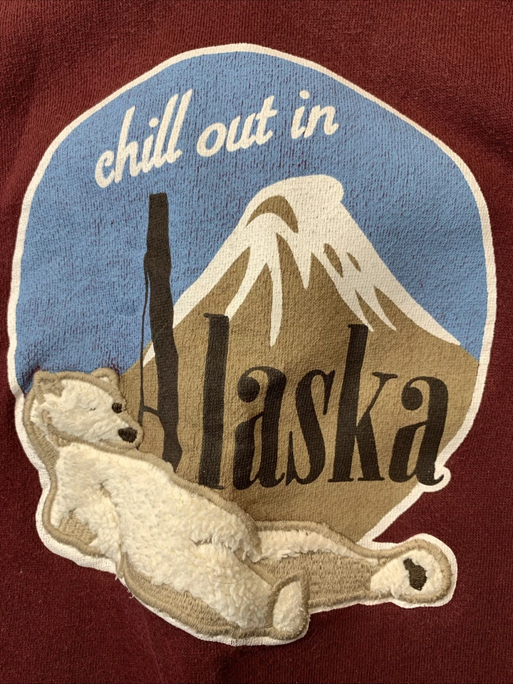 Alaska Niños Pullover Sudadera con Capucha Jóvenes Niños Rojo Unisex Pequeño 5/6 CHILL OUT IN AK Foto 2 de 4