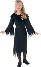 Toddler Girls Wicked Witch Halloween Costume Size 3-4 Years