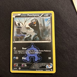 Double Crisis Team Aqua’s Poochyena 16/34 Regular