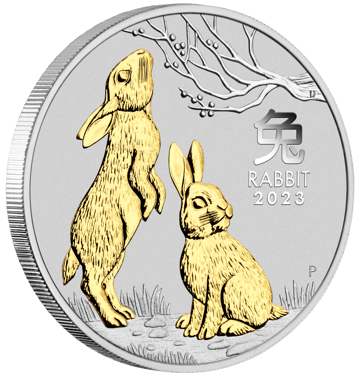 2023 Australia Lunar Year of the Rabbit GILDED Gilt 1oz Silver $1
