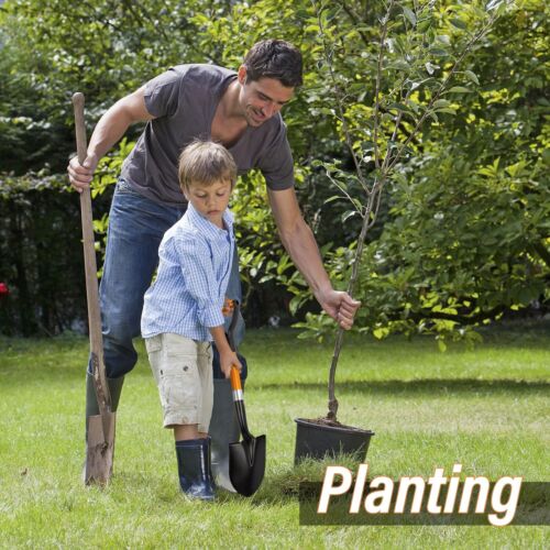 Small Garden Shovel Mini Kids Digging Shovel with Overall Length 28 inches Sh... - Picture 3 of 10
